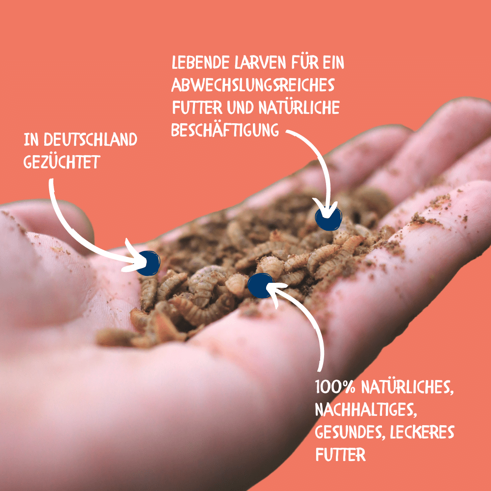 Vorteile der lebenden Insekten