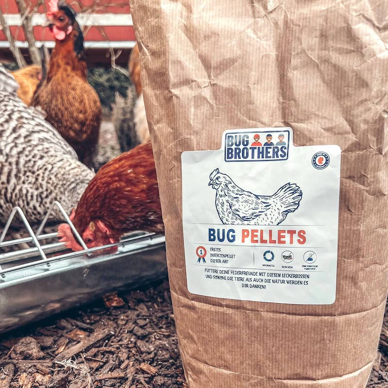Bug Pellet Hühnerfutter im Hühnerstall