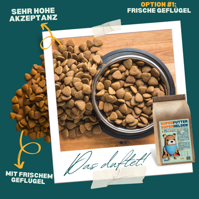 Premium Trockenfutter
