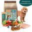 SuperFutter für SuperHelden