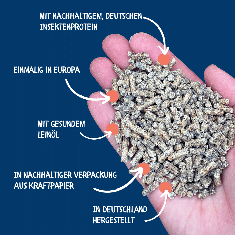 Vorteile Bug Pellet Hühner