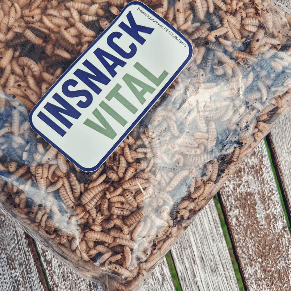 Lebende Insekten in Beutel