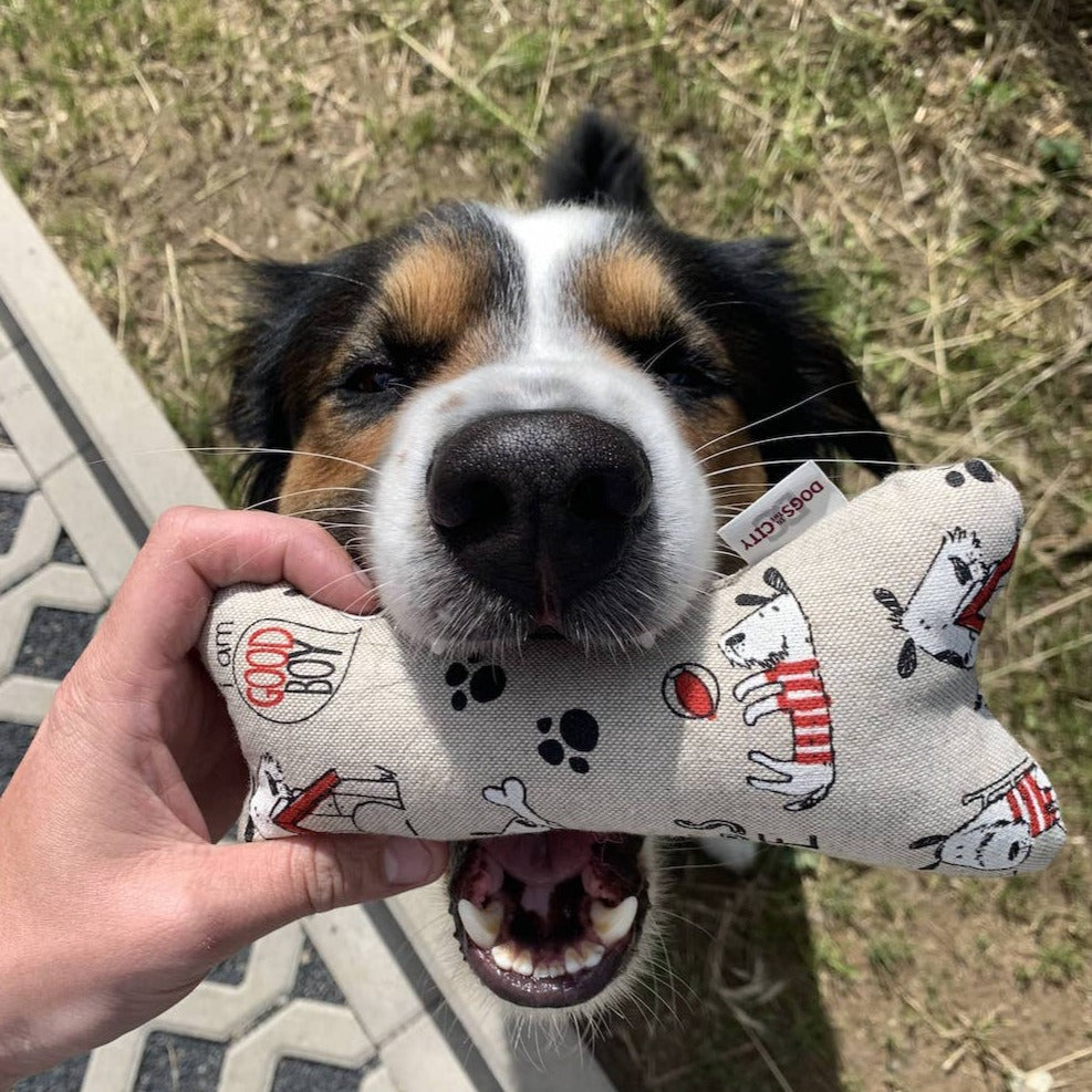 Plüsch Kauknochen mit glücklichem Hund