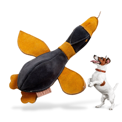 Anzeigebild Hundespielzeug